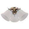 Westinghouse Ceiling Fan -Light Kit 3Lgt Cluster, Antique Brass Frosted Ribbed Glass 7784800
